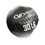 WBP-30 30lb Wall Ball Pro