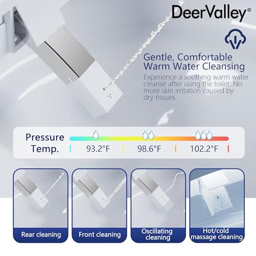 Luxury Smart Toilet with Bidet, Tankless, Heated Seat, Warm Water, Dryer, Night Light, Remote (Bidet Seat)