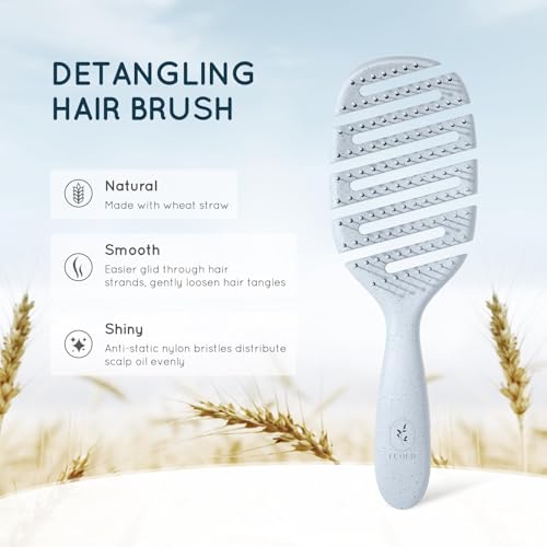 Ecoed Hair brush, Vented Detangling Brush, Quickly Detangles and Smooths hair for Curly, Thick, and Straight Hair, Hair Brush for Women and Men, Blue, Eco Friendly, Sustainable Material