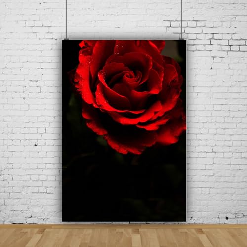 Fondo fotográfico de vinilo 5x7ft negro y rojo miniatura 2