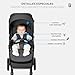 Imagen de Asalvo FIYI Silla de Paseo, Carrito bebé