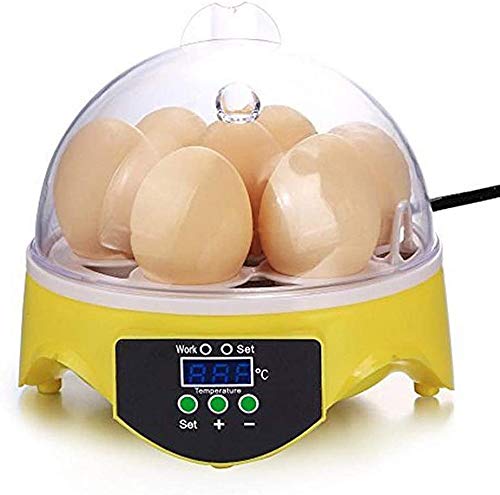 7 Eggs Mini Digital Automatic Temperature Control Incubator Transparent Hatcher For Ducks Birds Chickens (Size : 220V)