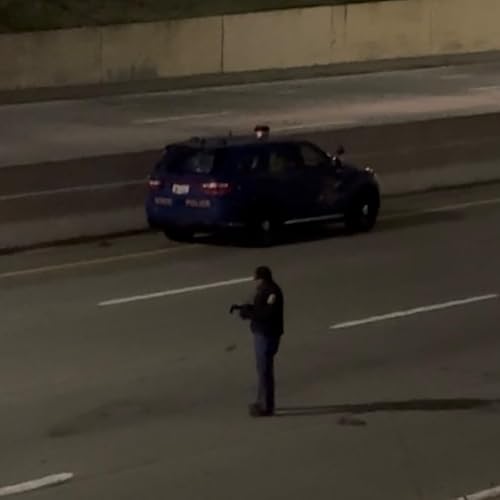 Woman killed while walking on Lodge Freeway in Detroit