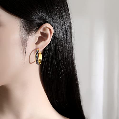 Lanfuni Gold Plated Crystal Hoop Earring, Circle Earring Hoops, Sparkly Crystal Earrings For Women Fashion Jewelry #TOP1