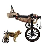 Carrito para Mascotas Silla de Ruedas Perros con Patas traseras Ajustable pequeños y Grandes Todoterreno Doble rodamiento Malla Transpirable fácil Poner Quitar XXL
