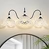 Black Bathroom Vanity Light3 Light Vanity Light with Crystal Glass ShadesVintage Farmhouse Vanity Lighting for Bathroom and Dressing Table
