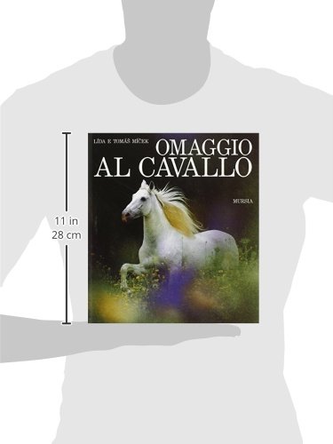 Omaggio Al Cavallo - 3