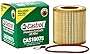 Castrol CAS10075 20,000 Mile Premium Synthetic Oil Filter