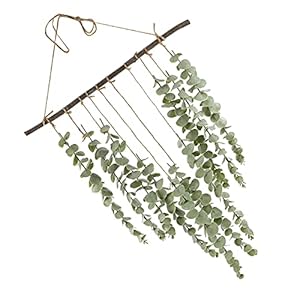 NOLITOY Kunstmatige Eucalyptus Muur Decor Opknoping Nep Eucalyptus Muur Decor Groen Wijnstokken Decoratie Voor Muur…