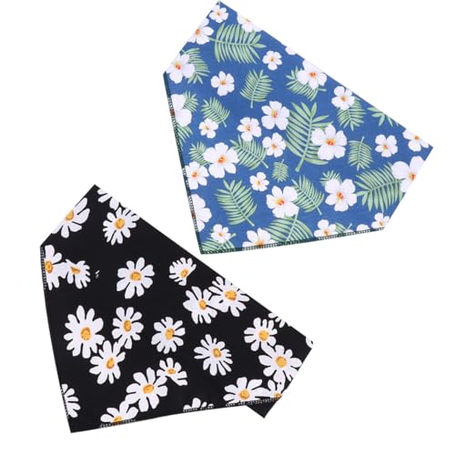 VERDANVERSE 2 ybgpRbOpo_i ?e  ߉\ 悾ꂩ ֏ ŉK O⎺