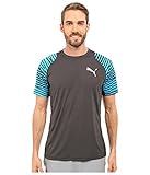 Puma Men's Vent Graphic Tee
