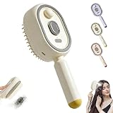 Brosses à vapeur électriques pour cheveux, lisseur à vapeur rechargeable, brosse à vapeu-r...