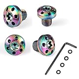 Cool Hand Customized Screws for Slim 1911 Full Size/Compact Grips, 4 Stainless Steel Screws, 4 O Rings, T10 Torx Key, Length 0.223', Rainbow Color, CH1911S-1-P