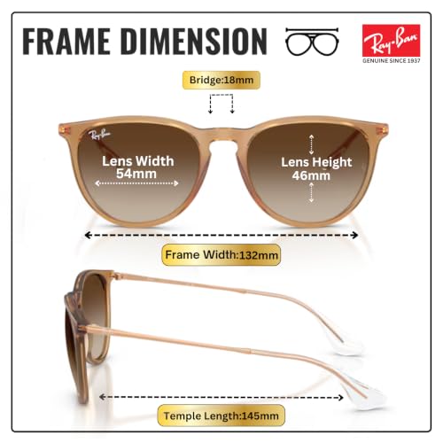 Image of Ray-Ban RB4171 ERIKA CLASSIC Phantos Shaped Sunglasses for Women with Official RAYBAN Eyewear Kit
