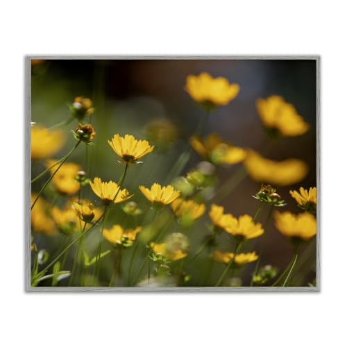 Yellow Daisy Wildflower Field, 24 x 30 Inch Framed Giclée Print