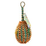 Planet Pleasures Pineapple Pinata Bird Toy for Extra Large Birds (2 pk)