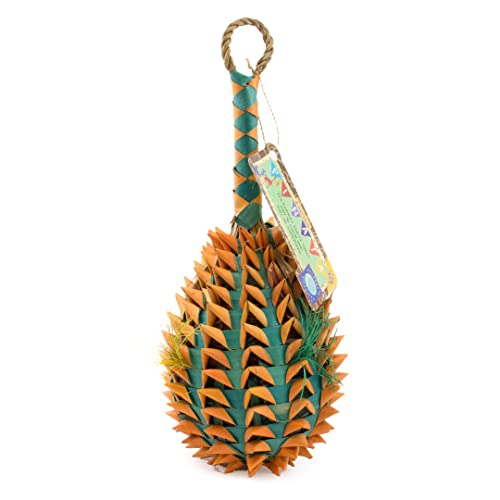 Planet Pleasures Pineapple Pinata Bird Toy For Extra Large Birds (2 Pk) #TOP27