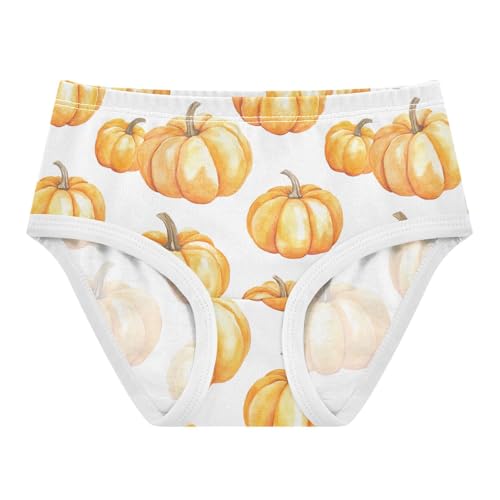Fall Pumpkin Thanksgiving Autumn Toddler Girls's Underwear 2T 202b7194