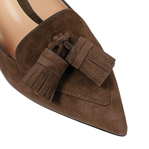 SHODENSE Women Kitten Heel Slingback Pumps Pointed Toe Suede Elastic Ankle Strap Sandals Fringe Closed Pointy Toe High Heels Stiletto Pumps Tassel Backless Dress Shoes Office Ladies Elegant 4-11 M US4