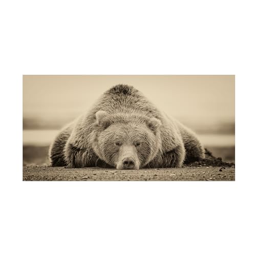 PHBurchett 'Deep Sleep' Canvas Art by Trademark Fine Art - Used condition - Image 2