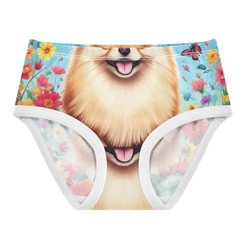 Girls Underwear Toddler 2t Cotton Girl Panties Cute Cartoon Undies Kids Briefs Cute Pomeranian Dog Colorful Flowers