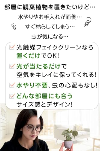 【インテリアコーディネーター監修】飾るだけじゃない フェイクグリーン 5点セット『空気を清浄化してくれる光触媒加工ｘ小ぶりなサイズで置き場所を選ばない』 [2]