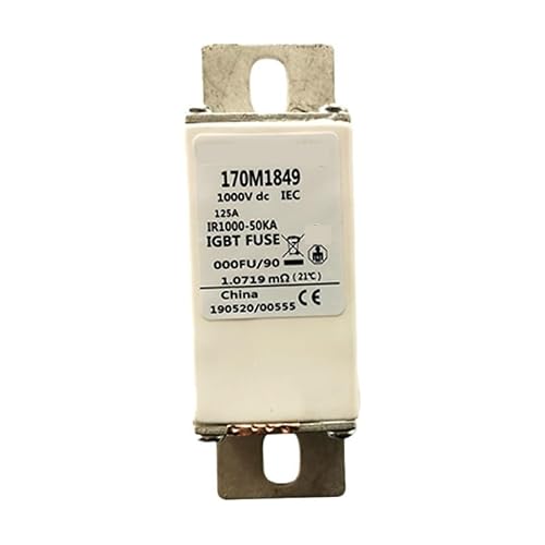 ITFOWIYD 170M1849 Fast Fuse