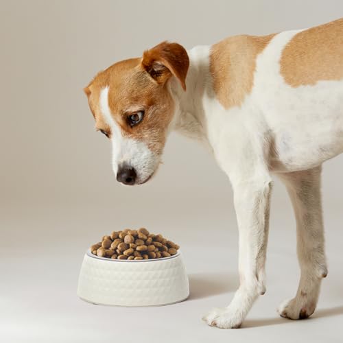 Zigly-Lifestyle-Pet-Feeding-Bowl--Dog-Food-Bowl-for-Dogs-Cats-Anti-Skid-Base-Removable-Stainless-Steel-BPA-Free-Melamine-Dog-Bowl-White-400-ml