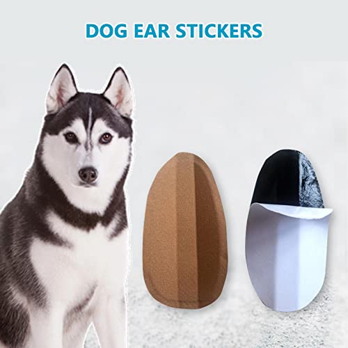 Hundeohr-Stütze, 4,8 cm, 6 Hilfs-Aufkleber, fixiertes Ohr-Stehen, für Hunde, unterstützt Ohrkorrektur, vertikales Werkzeug für Dobermann, Samojeden und Deutscher Schäferhund