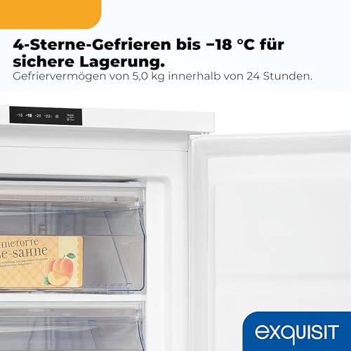 Gefrierschrank 80 Liter mit LED-Display und 4-Sterne-Gefrierleistung