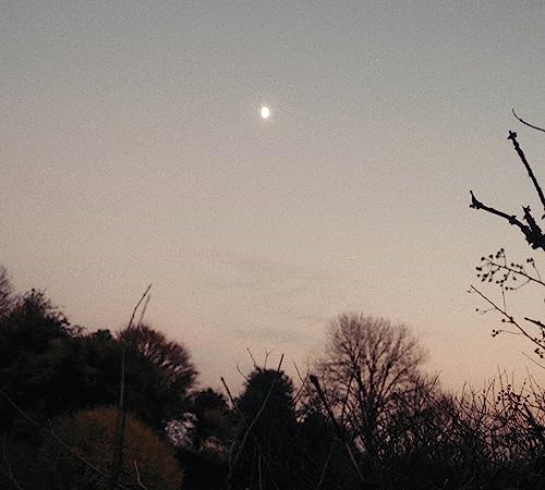 Navigator Dreamer Awake