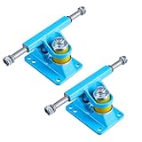 Le support de skateboard est compatible avec les planches de surf terrestre, les planches d'entraînement de ski terrestre et la plupart des skateboards, etc