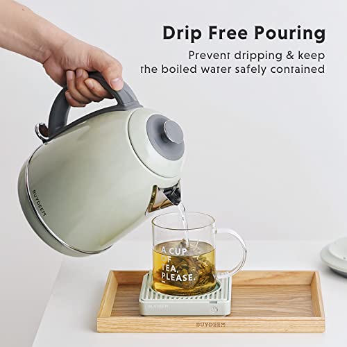 Buydeem K640 Stainless Steel Electric Tea Kettle With Auto Shut-Off And Boil Dry Protection, 1.7 Liter Cordless Hot Water Boiler With Swivel Base, 1440W, Cozy Greenish #TOP3