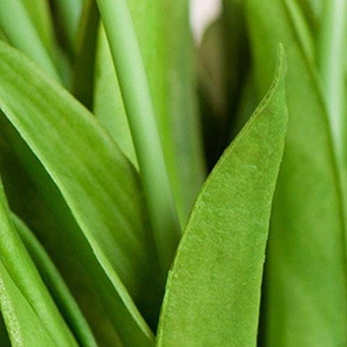 Shine-Co Lighting Pu Real Touch Fake Tulips Artificial Flowers 10 Pcs Flower Arrangement Bouquet For Home Office Wedding Decoration (Purple) #TOP2