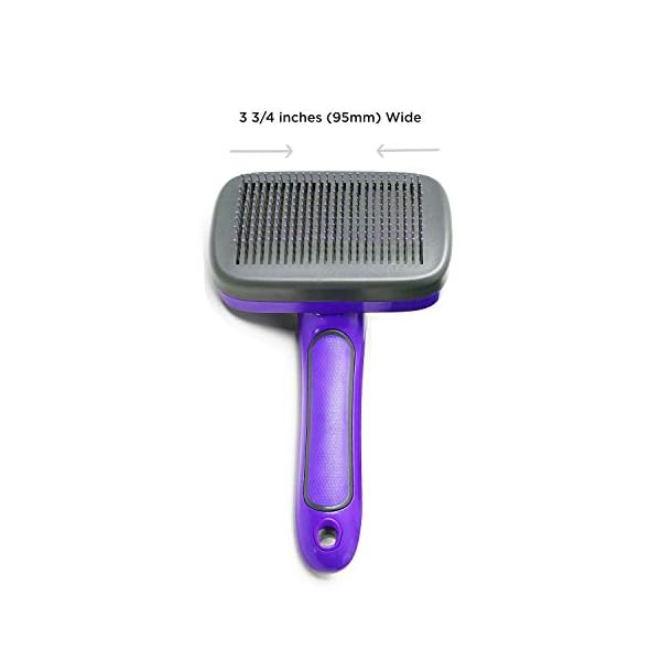 Hertzko Self Cleaning Slicker Brush with Plastic Tips for Sensitive Dogs and Cats. Gently Removes Loose Fur, Undercoat, Mats, and Tangled Hair. Safe and Painless for Your Pet. Small Hertzko Self Cleaning Slicker Brush with Plastic Tips for Sensitive Dogs and Cats. Gently Removes Loose Fur, Undercoat, Mats, and Tangled Hair. Safe and Painless for Your Pet. Small