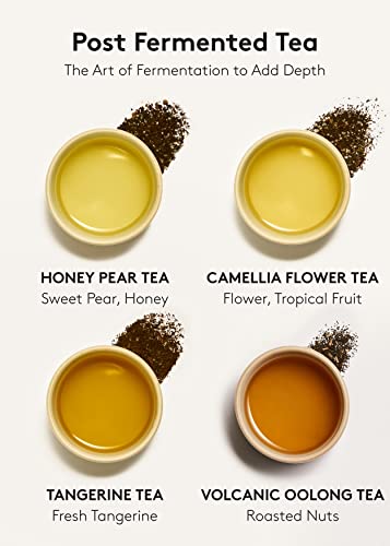 Osulloc Tea Moment Gift Set (50 Count, 10 Flavors X 5 Ea), Carefully Curated Tea Sampler - Self Care Gift Box, Premium Organic Pure & Blended Tea From Jeju #TOP3