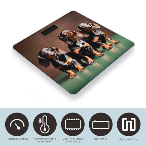 Báscula digital de baño Dachshund Weiner dog vidrio templado miniatura 3
