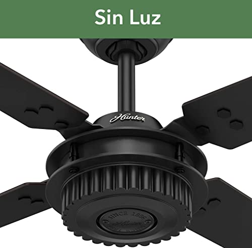 Consejos y reviews para comprar Abanicos de techo para exterior los más recomendados. 21 Imagen adicional