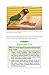 Lovebirds: A Guide to Caring for Your Lovebird (CompanionHouse Books) Selecting, Caring for, and Maintaining Well-Behaved, Happy Pet Birds (Complete Care Made Easy)