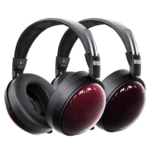 FIIO FT13 Black Natural FIO-FT13-B FIO-FT13-Ny{K̔X蔭EVAio[tzwbhz wbhtH ^ _Ci~bN (ubN)