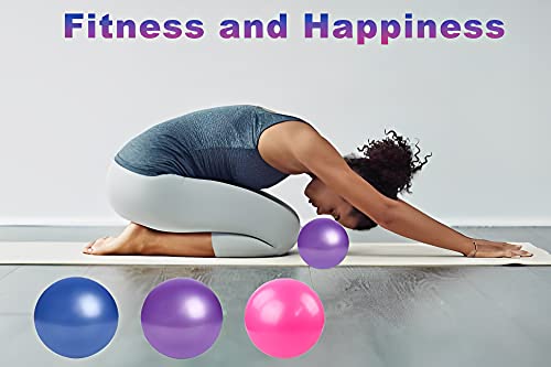 Dongshop Small Exercise Ball Mini Yoga Ball Pilates Ball 6 Inch With Inflator 6 Inch Exercise Ball For Women Workout Fitness Stability Physical Therapy Fitness (Blue) #TOP2
