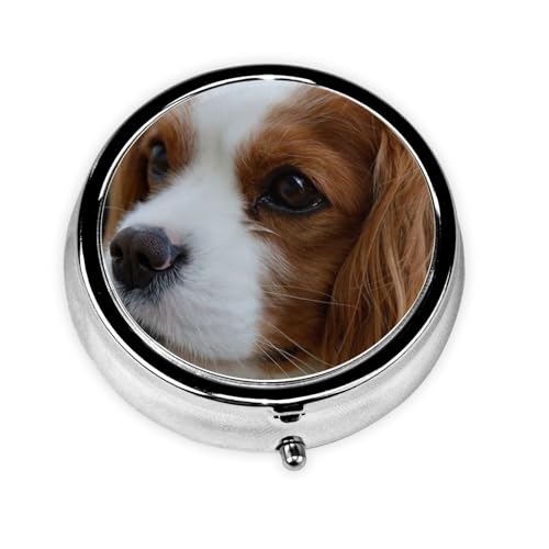 sP[X gїp P[X   ݖYh~ sP[X LO `[Y XpjG ώ ۂ  w ZT[[ [P[X