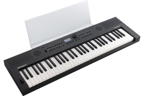 Roland ���[�����h / GOKEYS5-GT (GO:KEYS 5) �O���t�@�C�g [��p���ʗ��� MRGKS3/5 �Z�b�g] Digital Keyboard