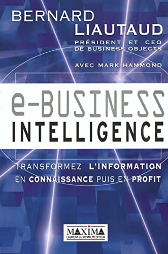 E business intelligence view 2
