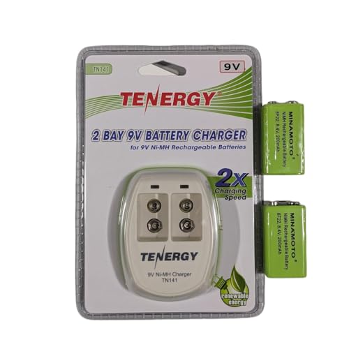 Garrett Recharger Kit for Garrett SuperWand and THD - 2 NiMH Batteries and 110 Volt Charger 1612000