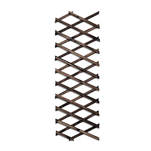 Treillis en bois rétractable pour plantes de jardin, clôture rétractable pour jardin, décoration murale, plantes grimpantes, clôture de jardin, cloison de séparation