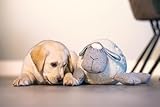 Beeztees Welpen Plüschtier Herzschlag, Plüsch-Hund für Welpen, weiß/grau, 35x20x14 cm
