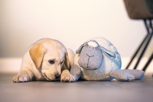 Beeztees Welpen Plüschtier Herzschlag, Plüsch-Hund für Welpen, weiß/grau, 35x20x14 cm