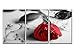 Canvas Print Wall Art Painting For Home Decor Still Life Of Love Red Rose Flower On Black And White Background With Vintage Elements 3 Pieces Panel Paintings Modern Giclee Stretched And Framed Artwork The Picture For Living Room Decoration Flower Pictures Photo Prints On Canvas