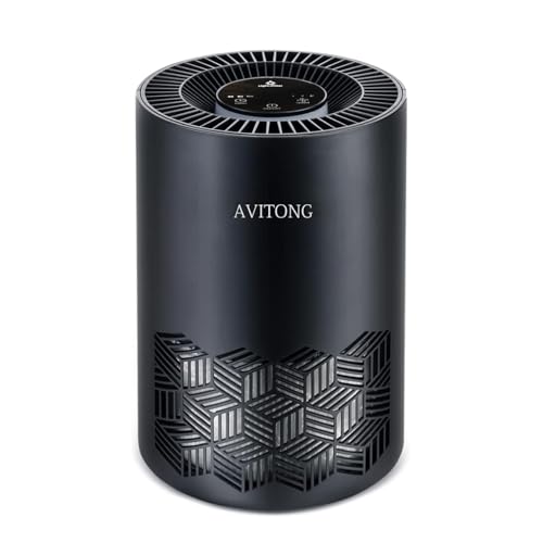 home best air purifier for allergies